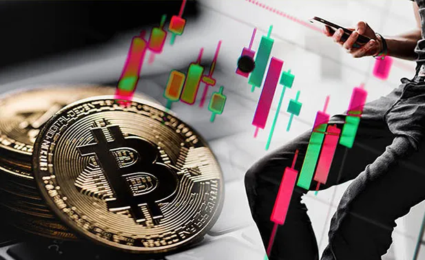 Profit Maximizer - Profit Maximizer Trading